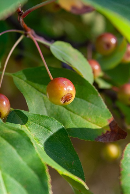 他的成功传 他的成功传