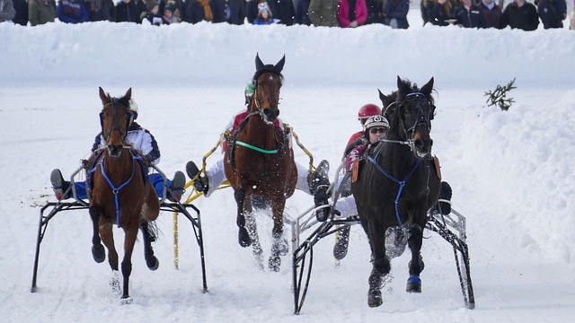 非常紧凑的 非常紧凑的