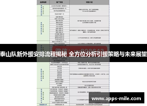 泰山队新外援安排流程揭秘 全方位分析引援策略与未来展望