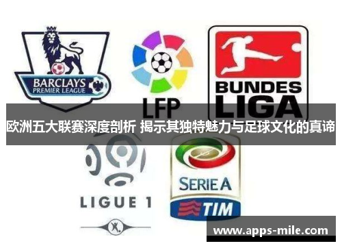 欧洲五大联赛深度剖析 揭示其独特魅力与足球文化的真谛